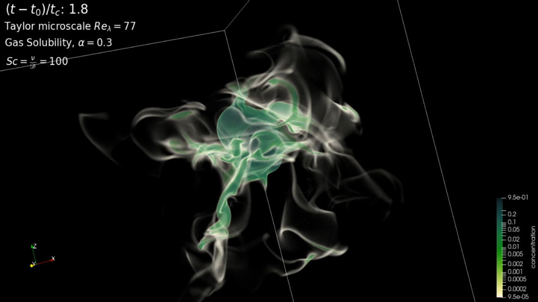 Gas transfer from a bubble in isotropic turbulence by Palas Kumar Farsoiya