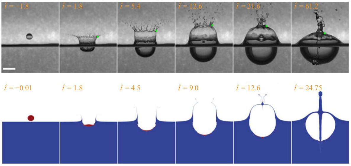 Typical sequence of splashing events for a water drop impacting a deep water pool (Fig. 2 from Wang et al. 2025)