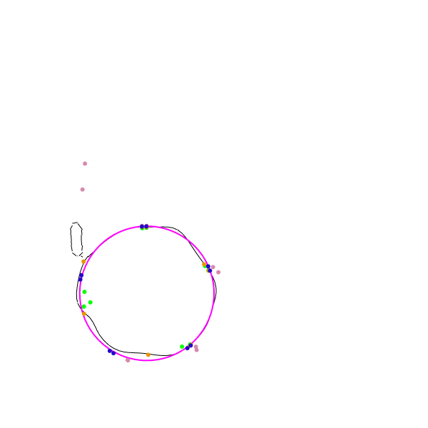 The Magenta circle is the exact solution