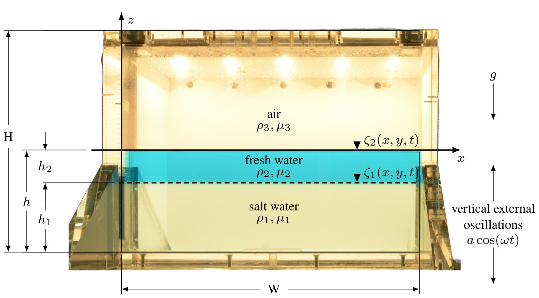 Figure 1: Experimental setup showing the cuboidal tank with inner dimensions W×H×D, the initial two-layer configuration, and forcing parameters.