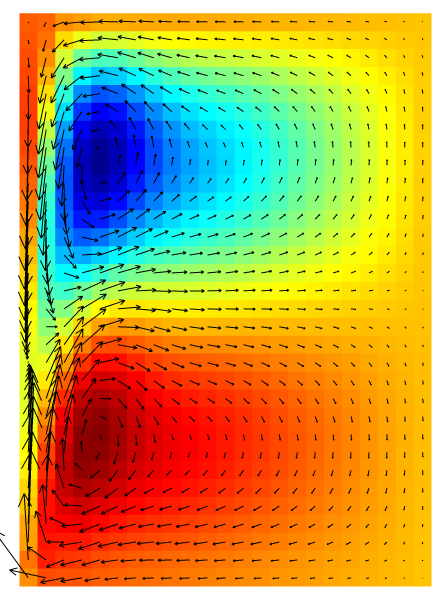Velocity field and surface height